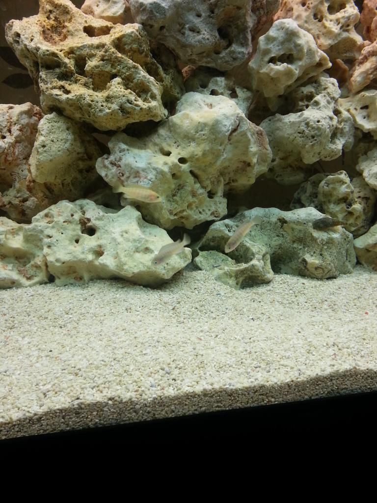 20130304_205340.jpg