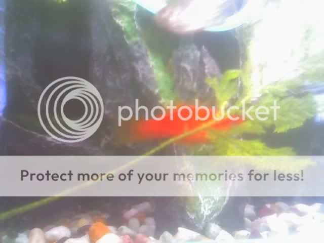 26-05-06_1641.jpg