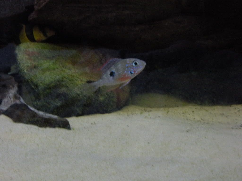 DSCN9663.jpg