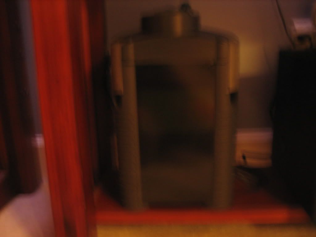 fish006.jpg