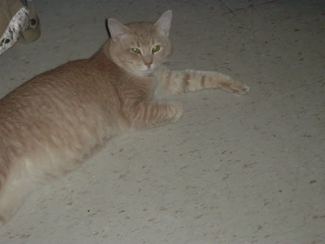 Picture048.jpg