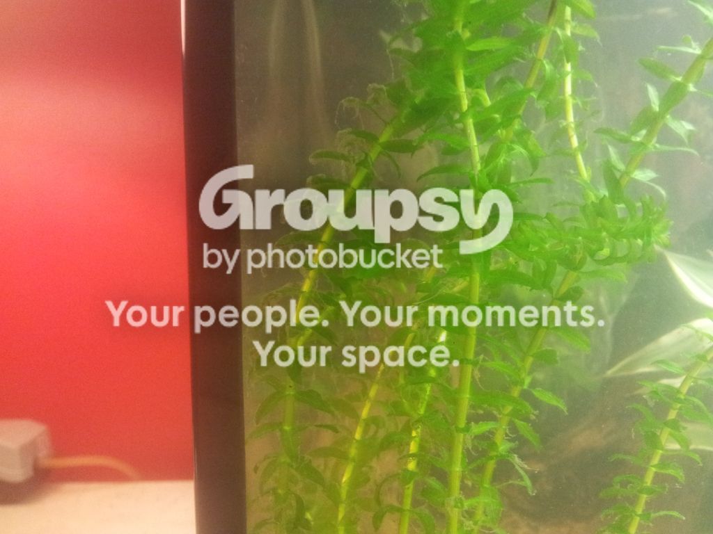 20120919_203656_zps90ec7f0a.jpg