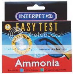 InterpetAmmonia.jpg