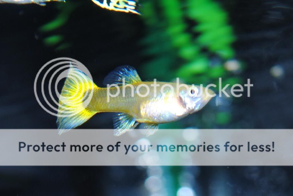 CSC_0253.jpg