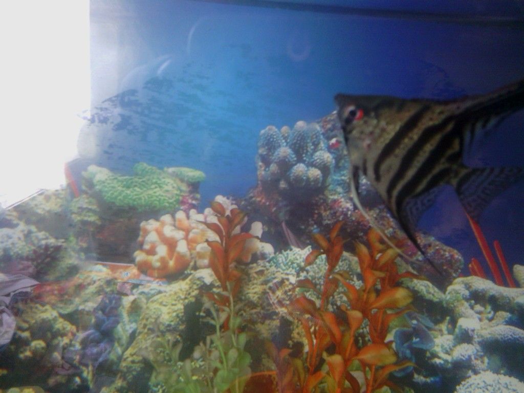 IMG_20120903_103246.jpg
