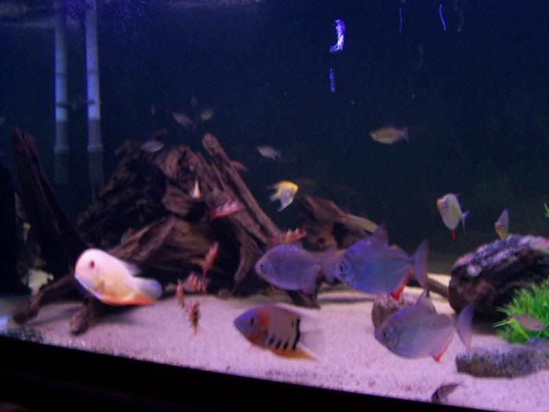 100_6081.jpg