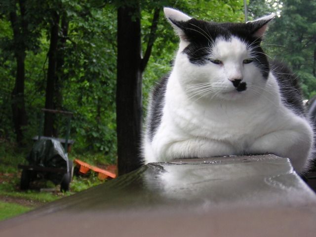 DSCN3029.jpg