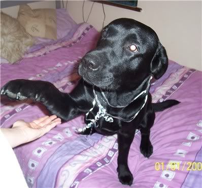 20060601ry2.jpg