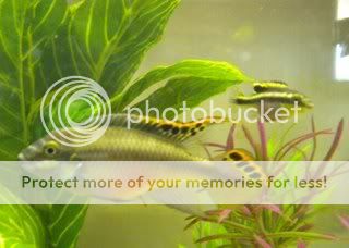 DSCN2021.jpg