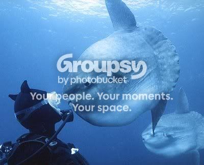 weirdfishflickzzz_com003-787820.jpg