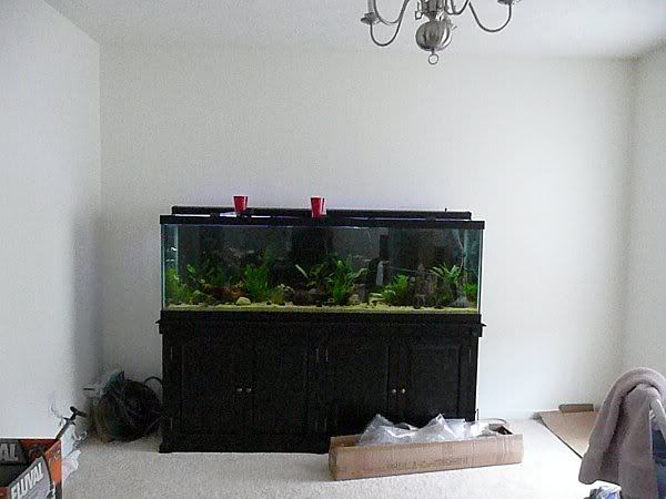5-7-11.jpg