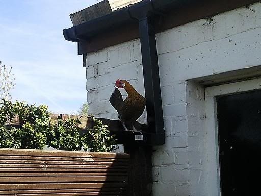 Photo0007.jpg