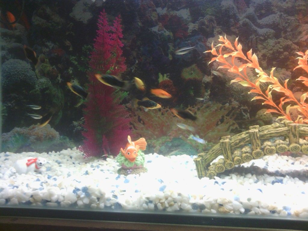 IMG_20120721_205629.jpg