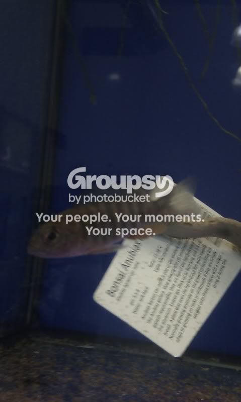 IMAG0445.jpg