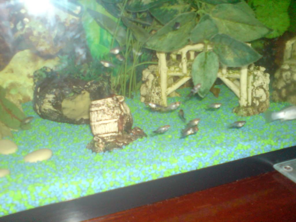 DSC01448.jpg