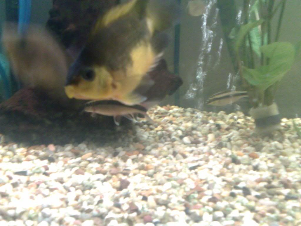 22042008079.jpg
