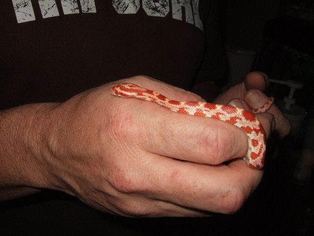 0801240041.jpg