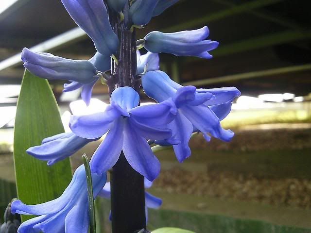 Photo1276.jpg