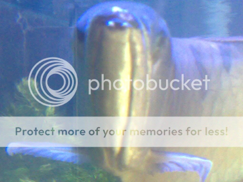 21042009215.jpg