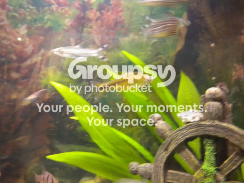 DSCN0455.jpg