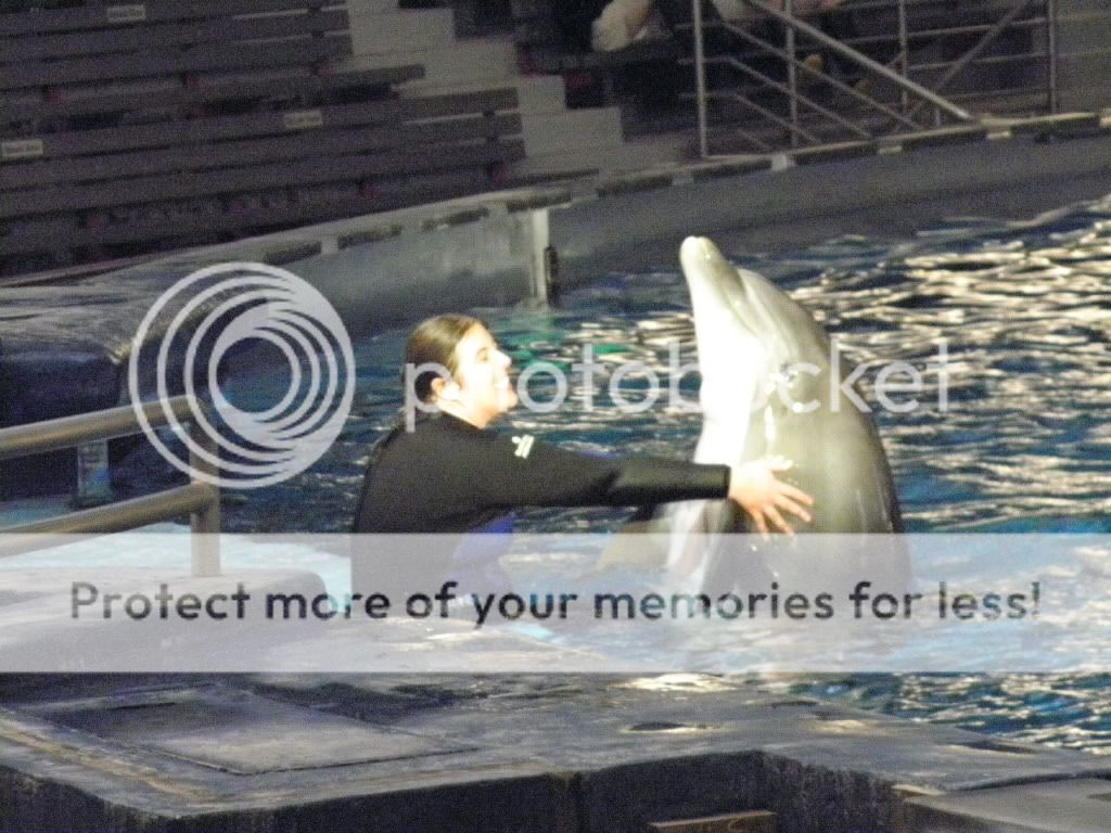 Aquarium28.jpg