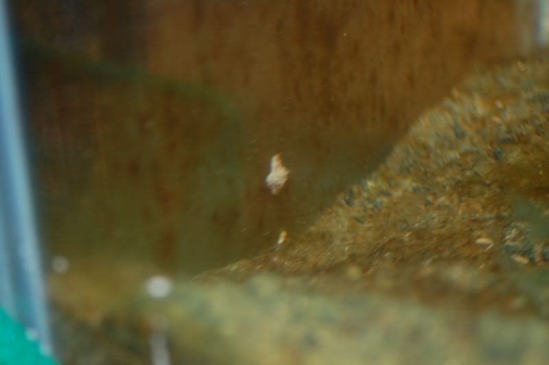 refugium2.jpg