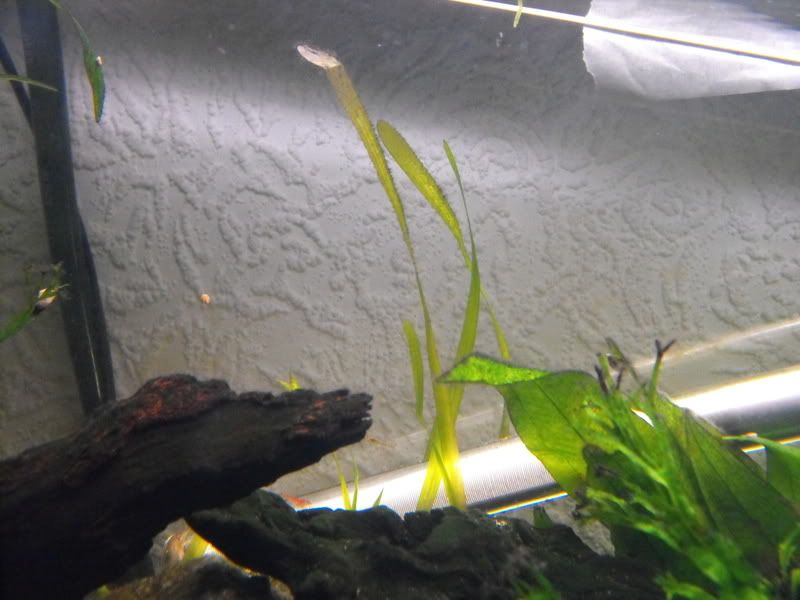 DSCF5501.jpg