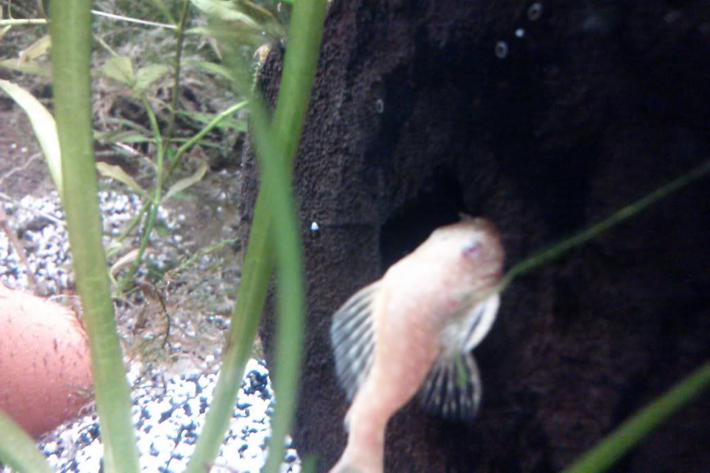 CAM00387.jpg