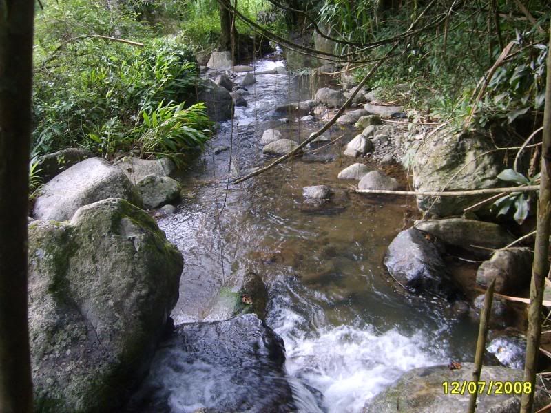 S5004879.jpg