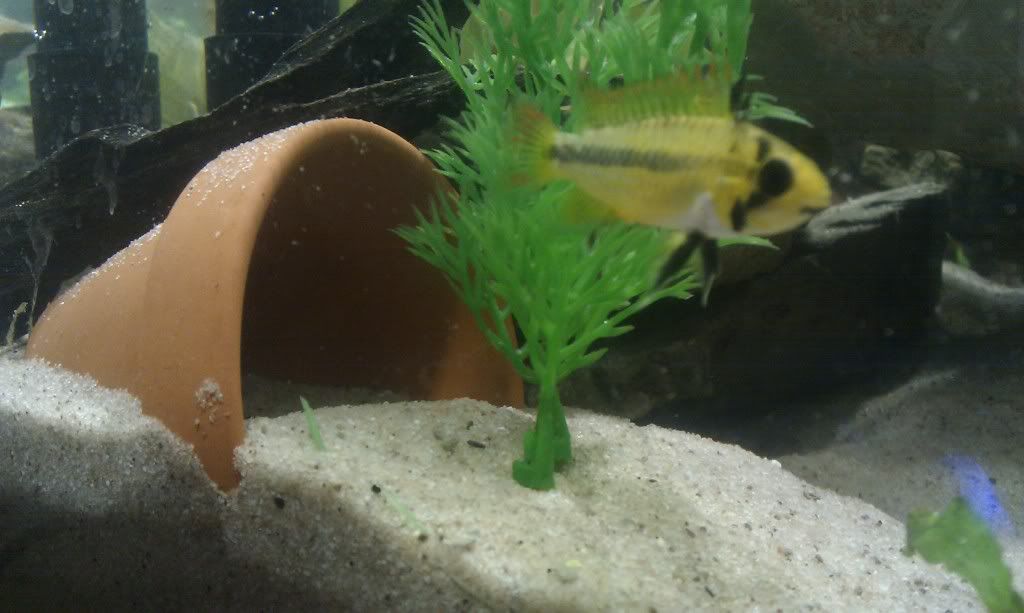 IMAG0116.jpg