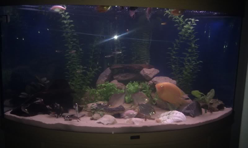IMAG0408.jpg