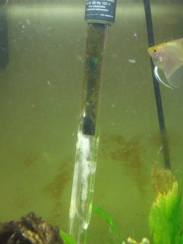 DSCF5610.jpg
