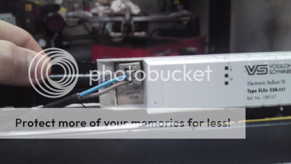 21022012518.jpg