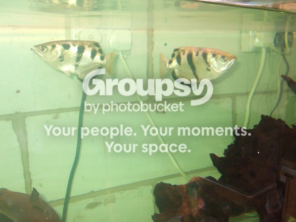 2010_09050480.jpg