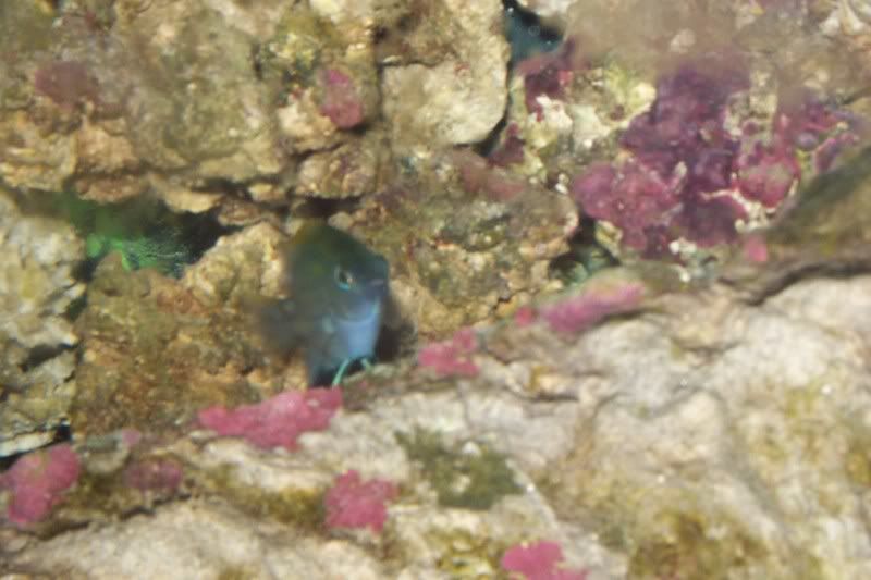 DCP_1163.jpg