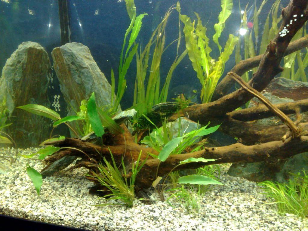18082010050.jpg