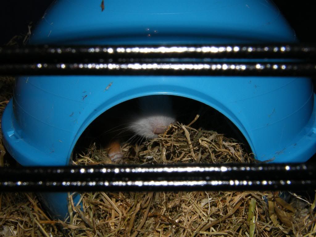 DSCF8622.jpg