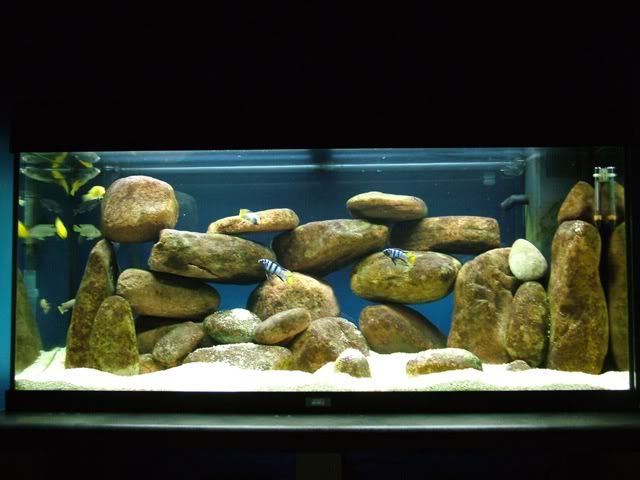 DSCF2799.jpg