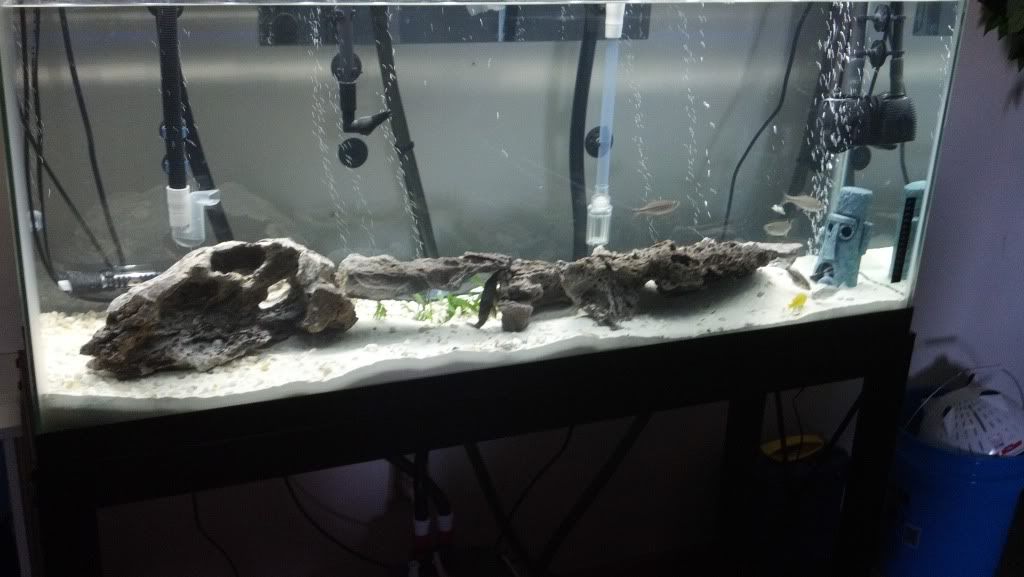 2012-04-08_15-54-13_873.jpg