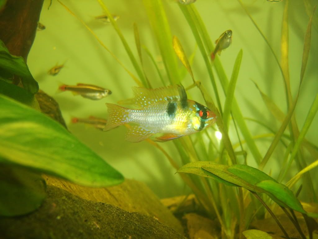 STA71281.jpg