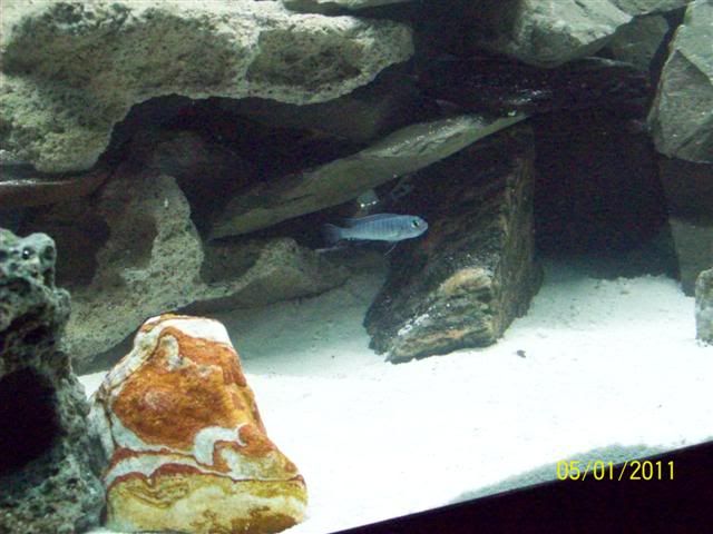 102_3647Small.jpg