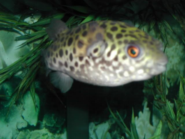 DSCN2497.jpg