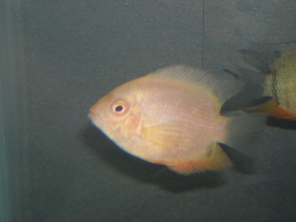 DSCN0560.jpg