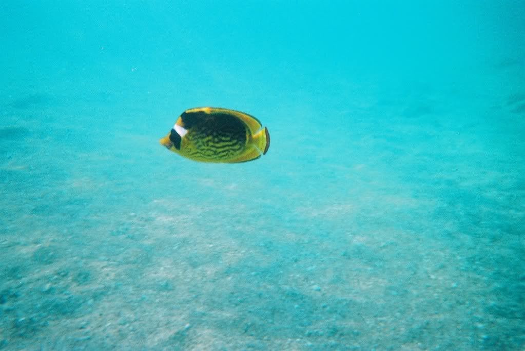 CNV00020.jpg