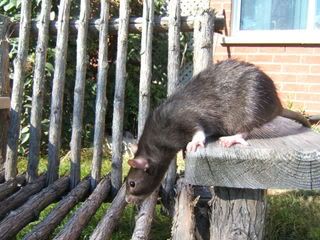 DSCF2955.jpg