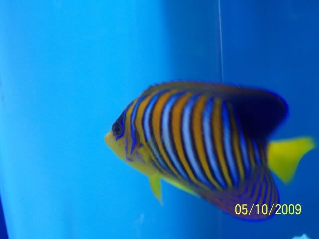 100_6132.jpg