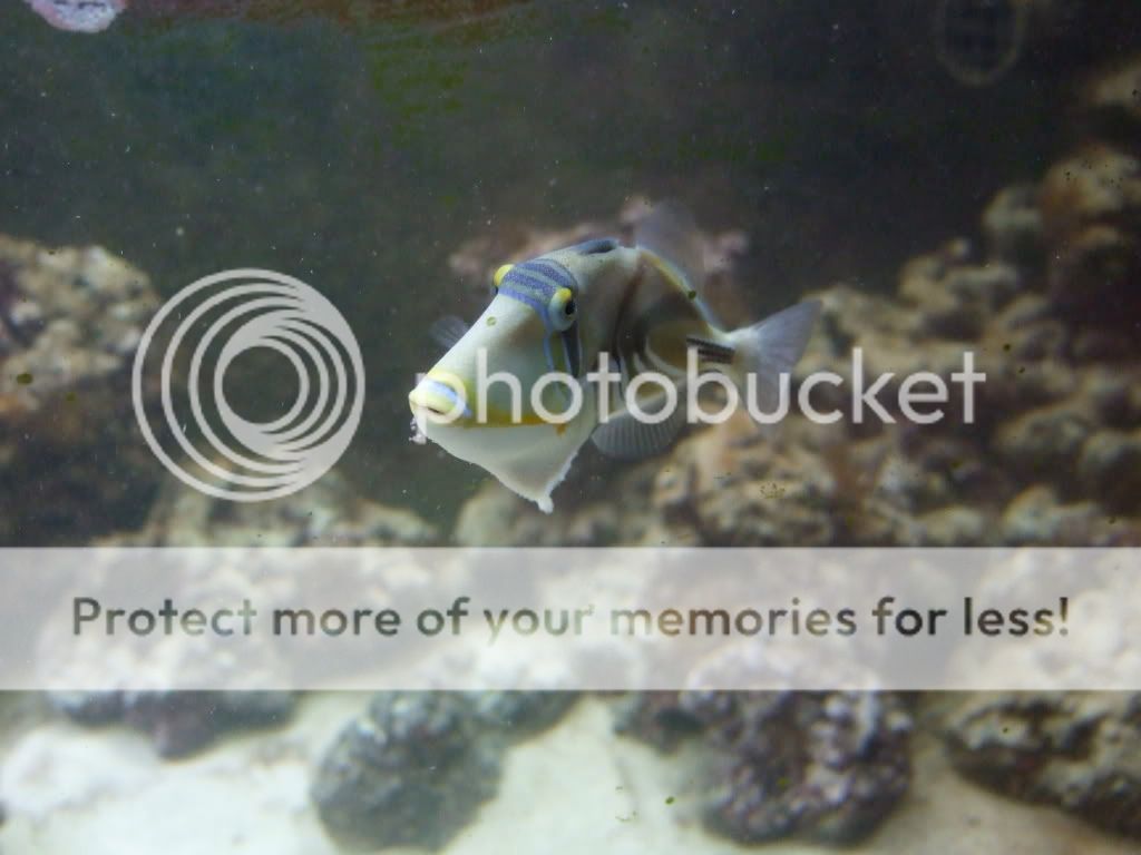 DSCF7187.jpg