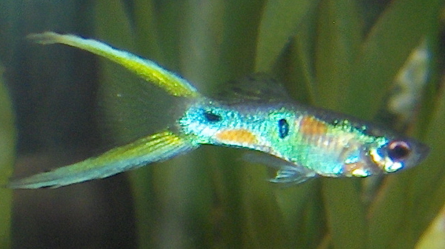 2008114214845_1.jpg