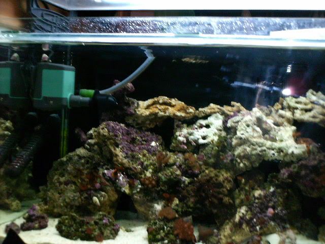 HPIM0257.jpg