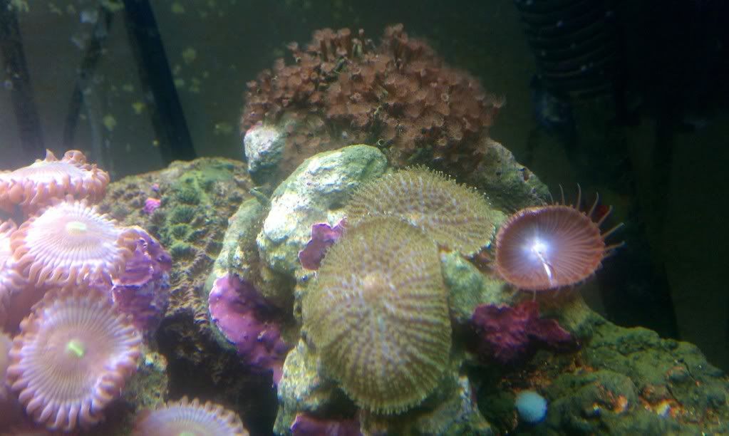 IMAG0202.jpg